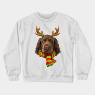 Merry Xmas Sussex Spaniel Dog Christmas Dog Lover Crewneck Sweatshirt